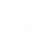 Evergroove_Studio_White_on_Trans-300x